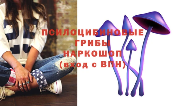 соль курить ск Верхний Тагил