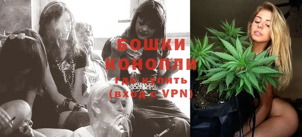 дживик Бронницы