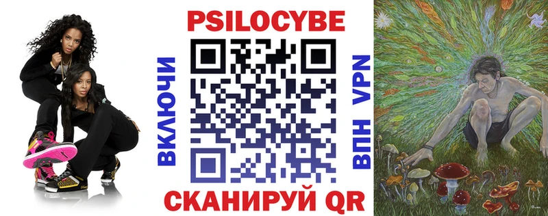 Псилоцибиновые грибы ЛСД  ОМГ ОМГ маркетплейс  Ельня 